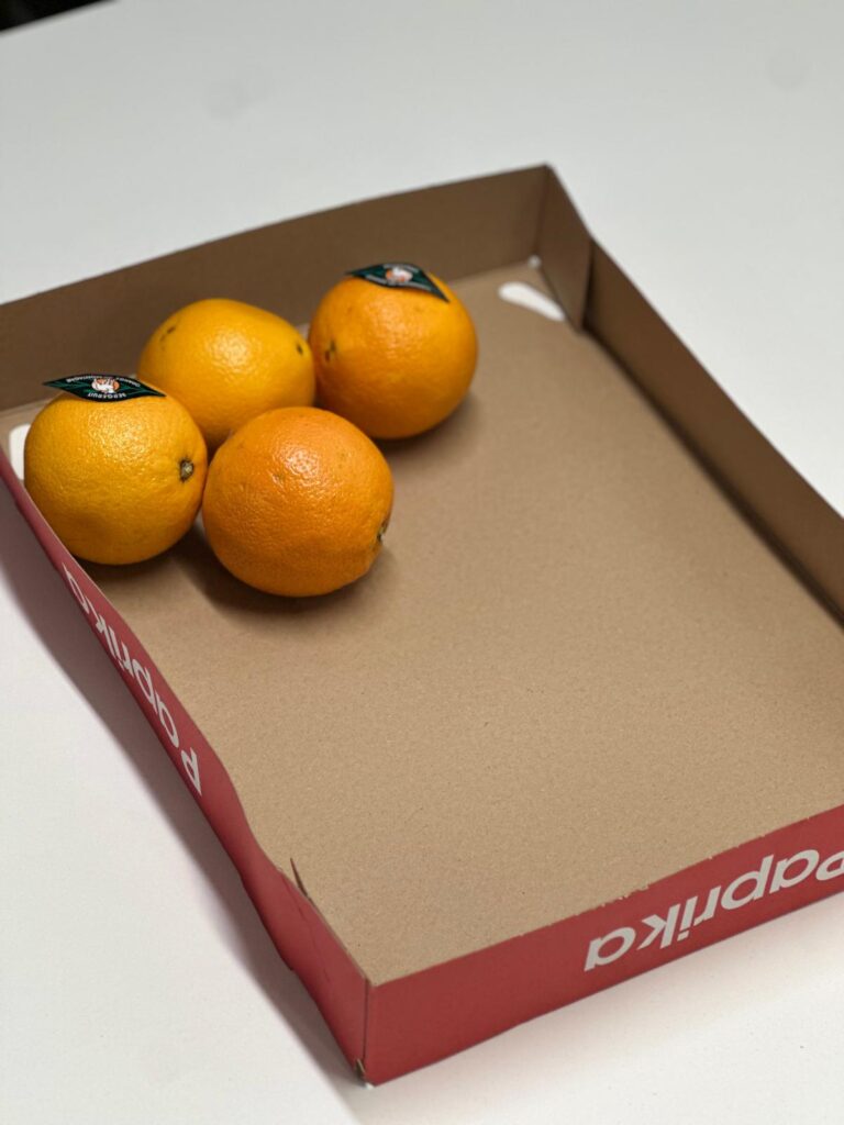 WhatsApp Image 2025-10-02 at 14.28