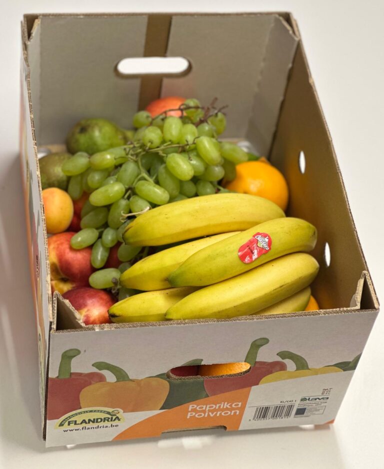 WhatsApp Image 2025-10-02 at 14.28