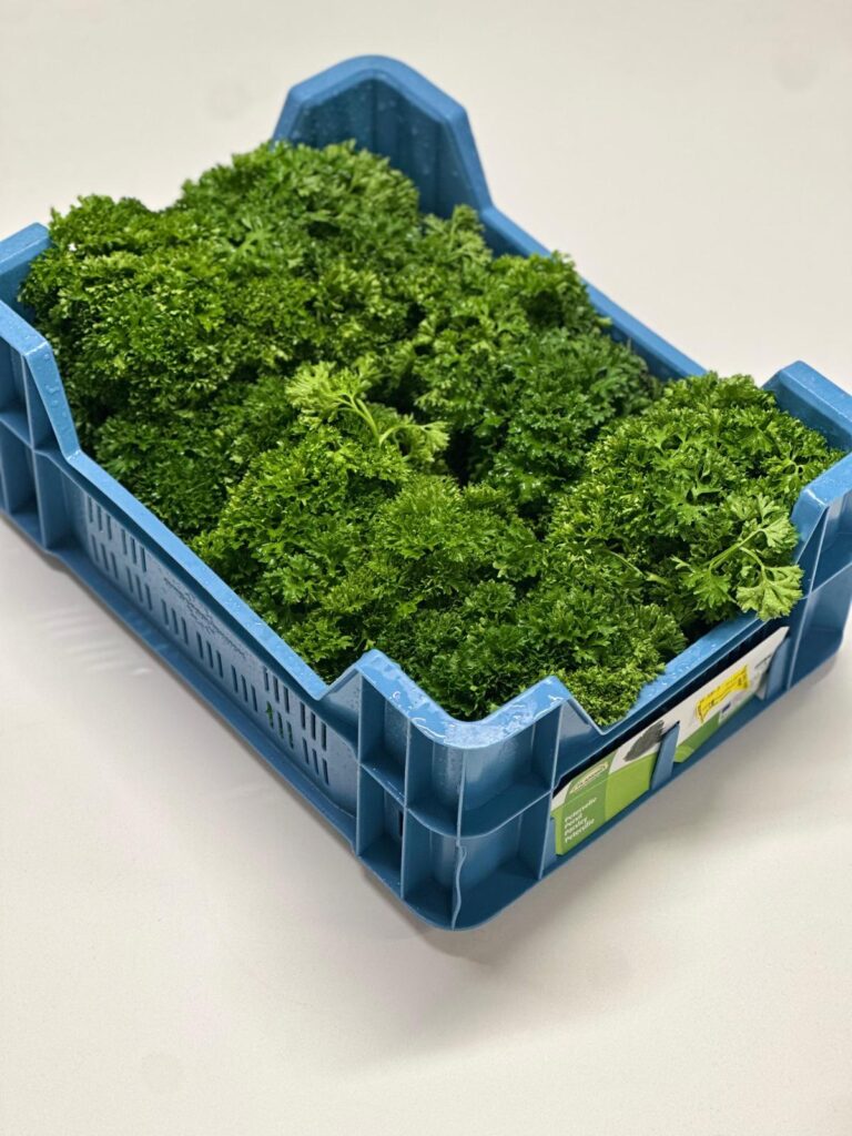 WhatsApp Image 2025-10-02 at 14.30