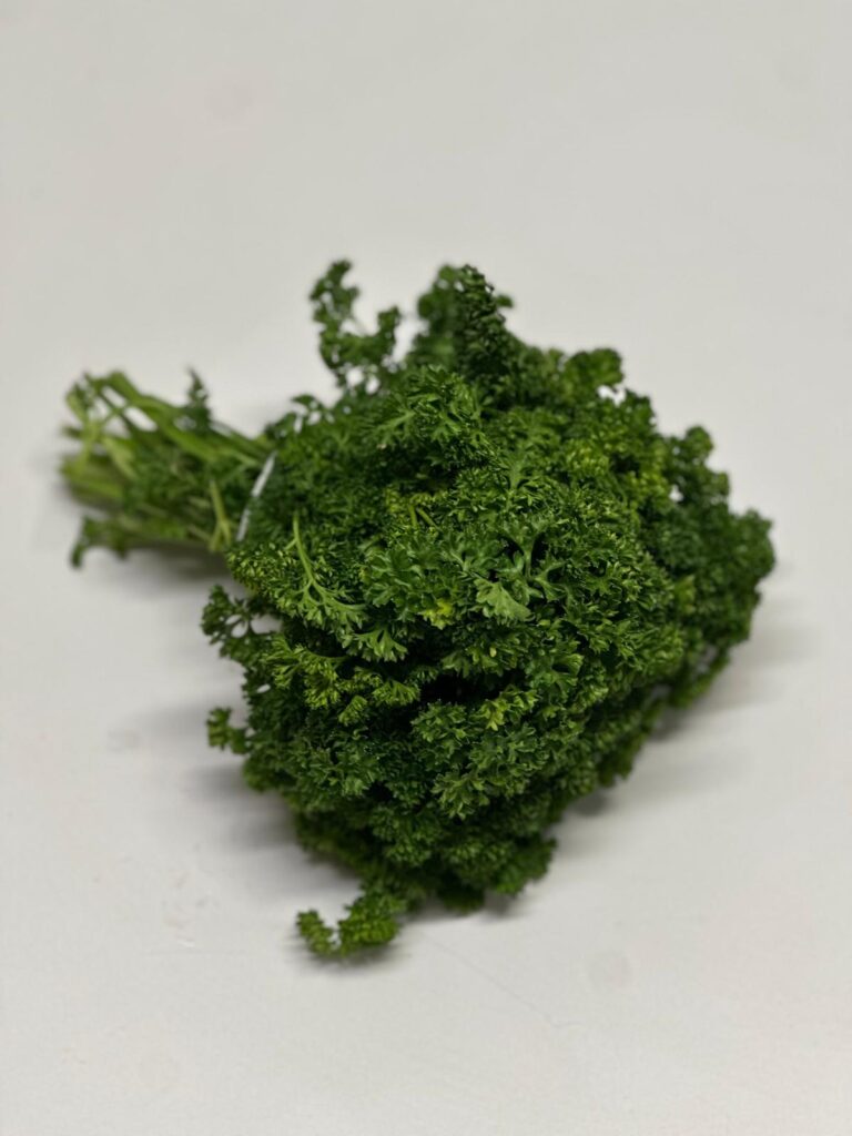 WhatsApp Image 2025-10-02 at 14.30