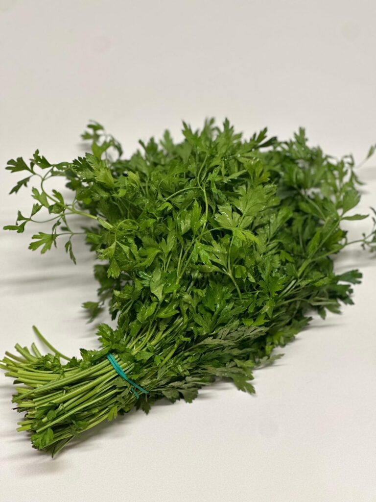 WhatsApp Image 2025-10-02 at 14.30