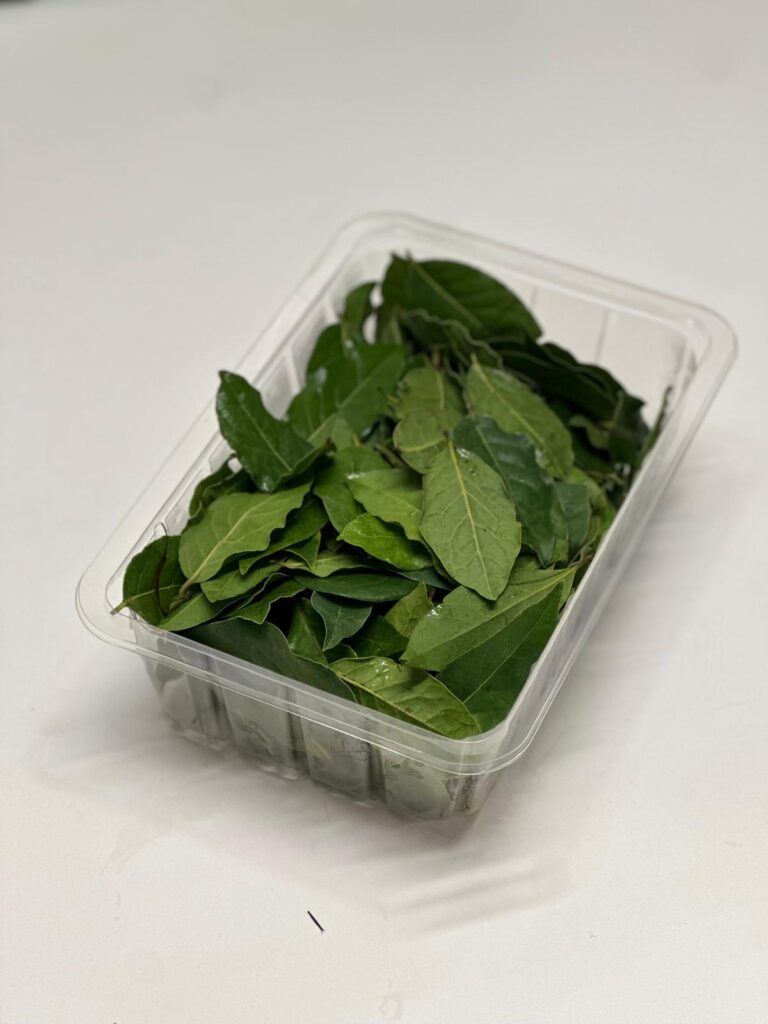 WhatsApp Image 2025-10-02 at 14.30