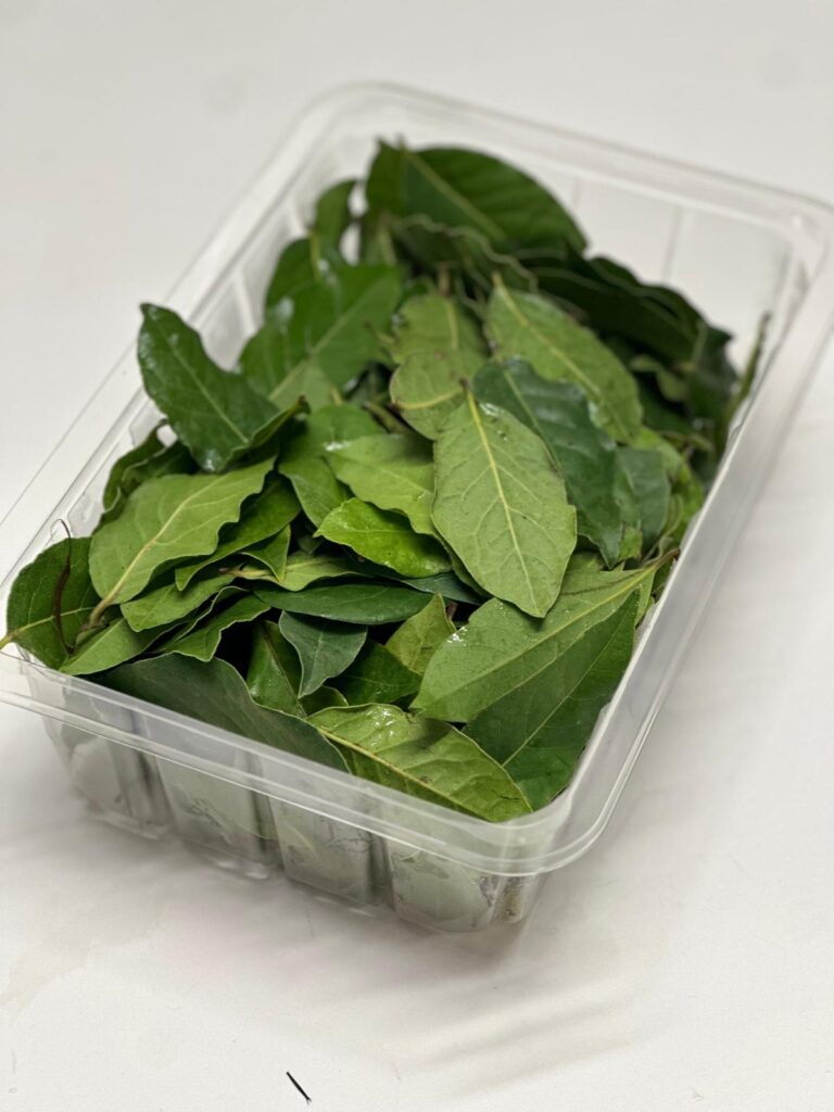 WhatsApp Image 2025-10-02 at 14.30