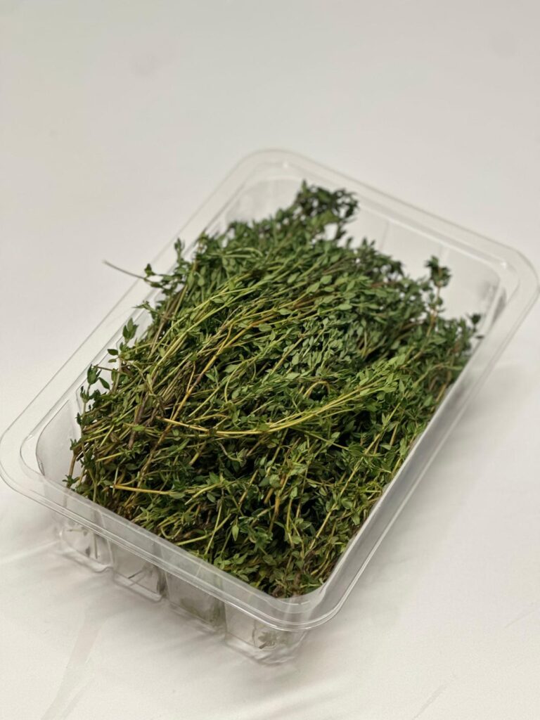 WhatsApp Image 2025-10-02 at 14.30