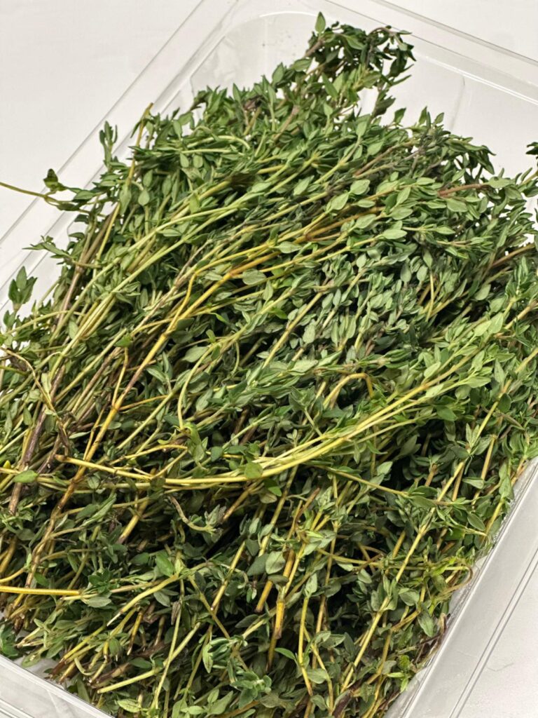 WhatsApp Image 2025-10-02 at 14.30