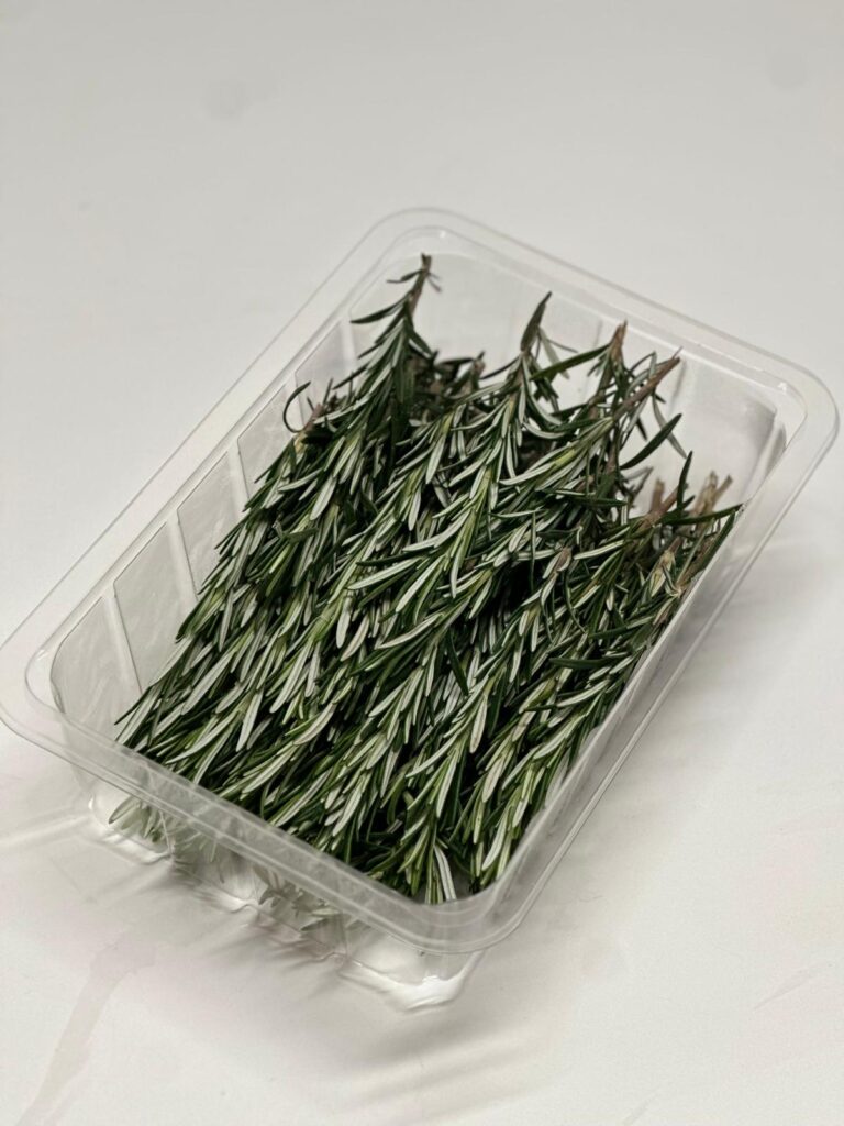 WhatsApp Image 2025-10-02 at 14.30