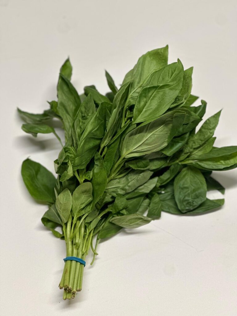 WhatsApp Image 2025-10-02 at 14.30