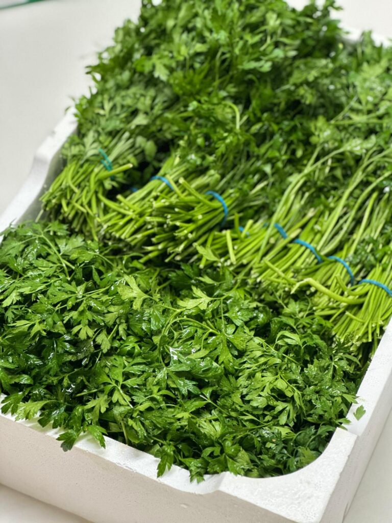 WhatsApp Image 2025-10-02 at 14.30