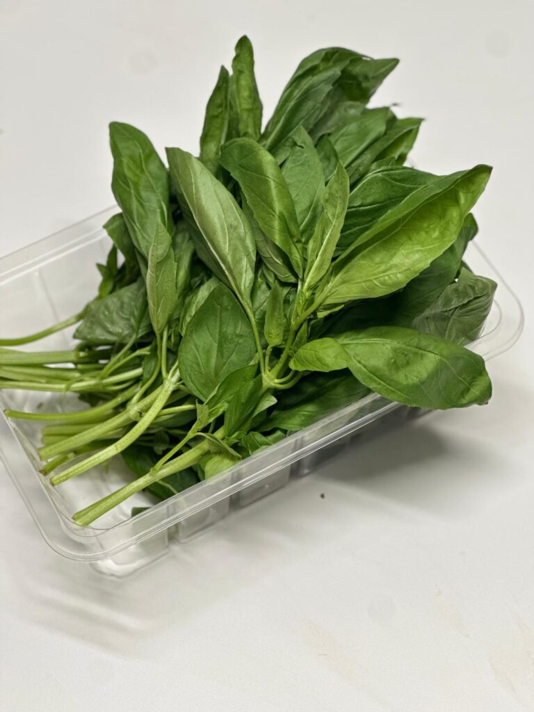 WhatsApp Image 2025-10-02 at 14.30