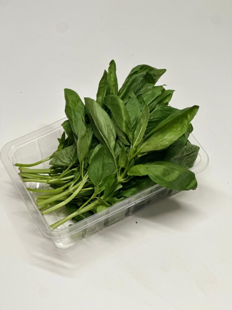 WhatsApp Image 2025-10-02 at 14.30