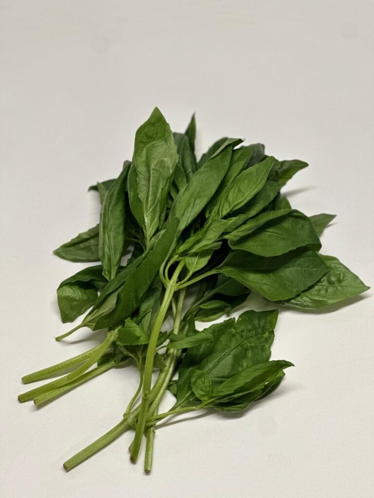 WhatsApp Image 2025-10-02 at 14.30