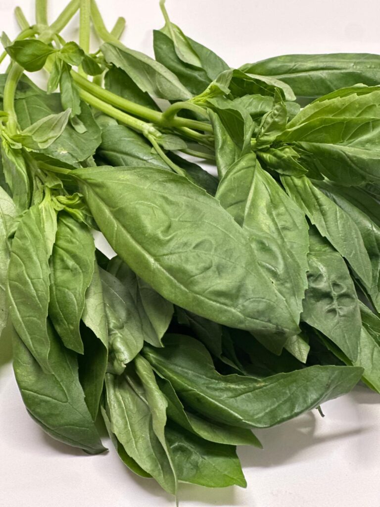 WhatsApp Image 2025-10-02 at 14.30