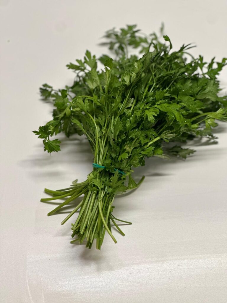 WhatsApp Image 2025-10-02 at 14.30