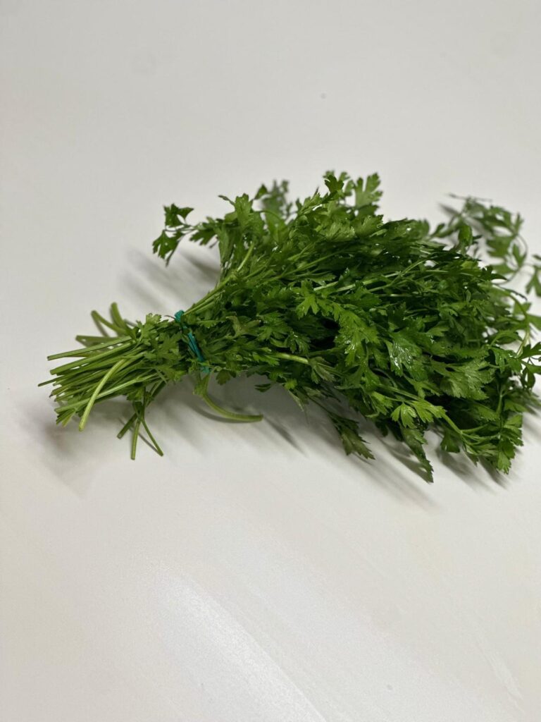 WhatsApp Image 2025-10-02 at 14.30