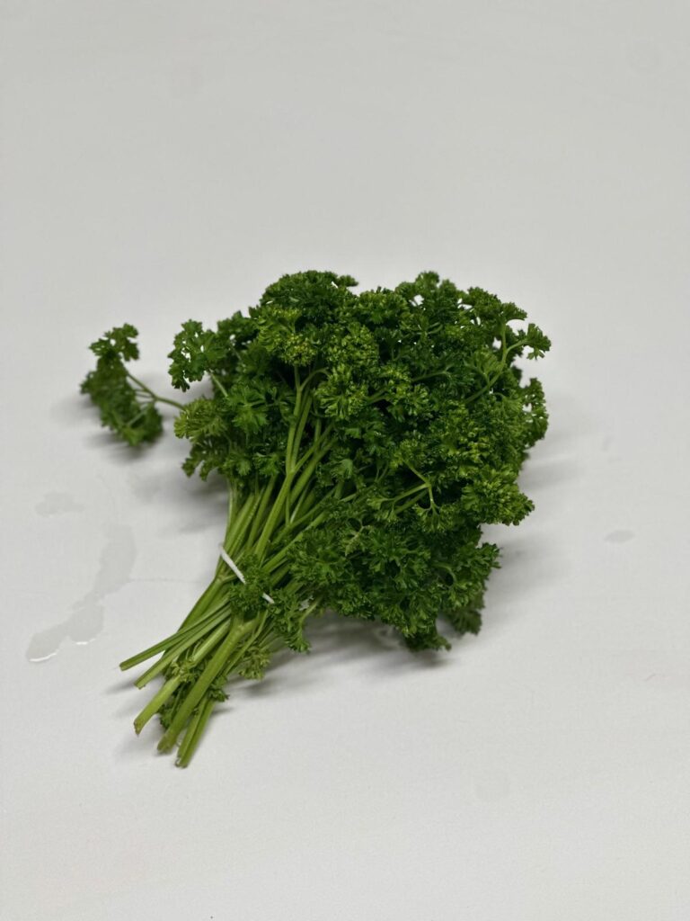 WhatsApp Image 2025-10-02 at 14.30