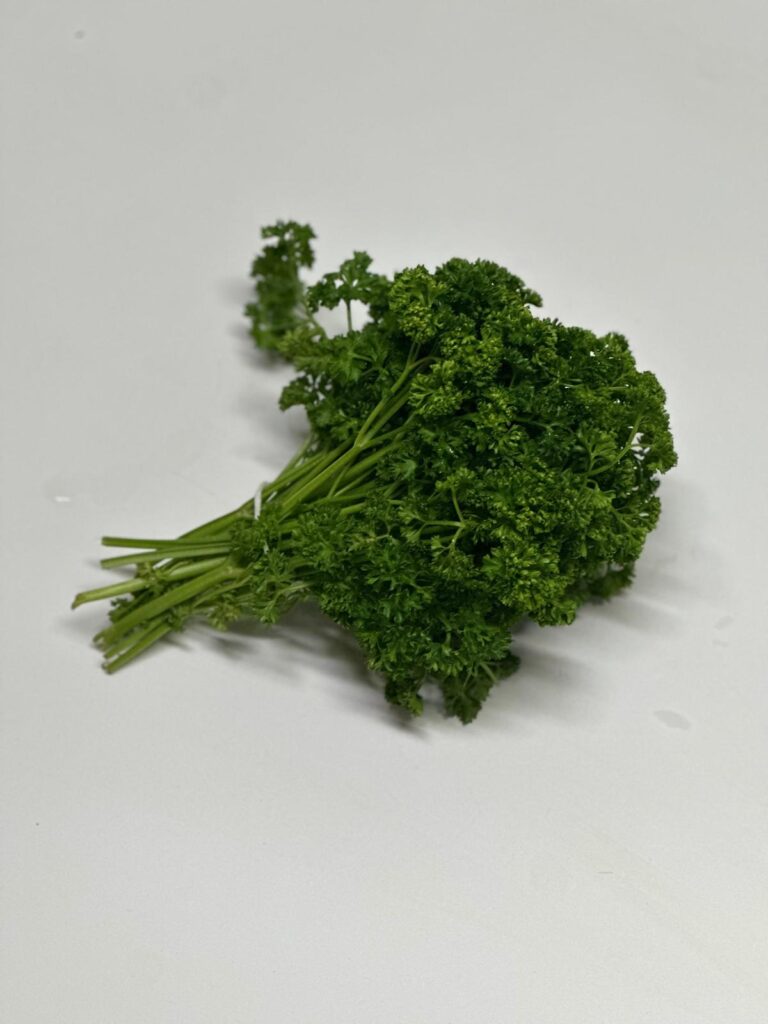 WhatsApp Image 2025-10-02 at 14.30