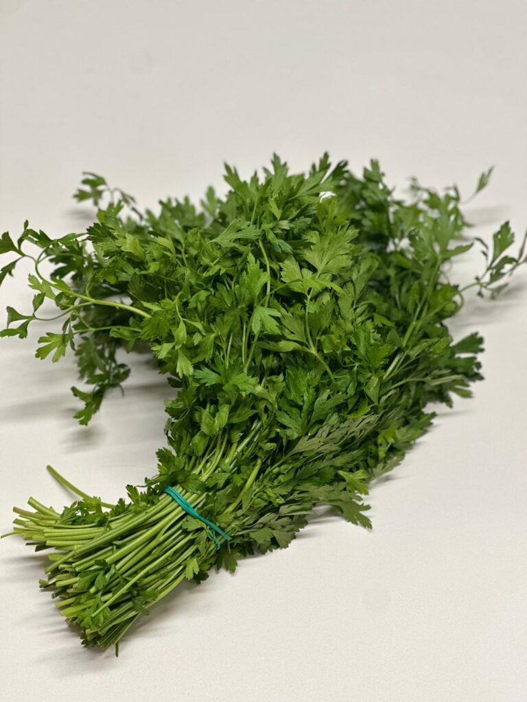 WhatsApp Image 2025-10-02 at 14.30