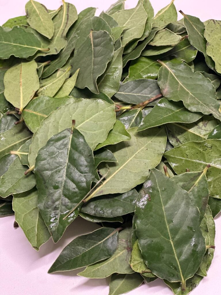 WhatsApp Image 2025-10-02 at 14.30