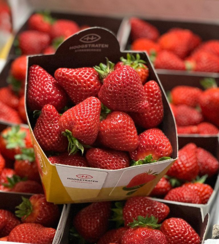 WhatsApp Image 2025-11-19 at 09.08