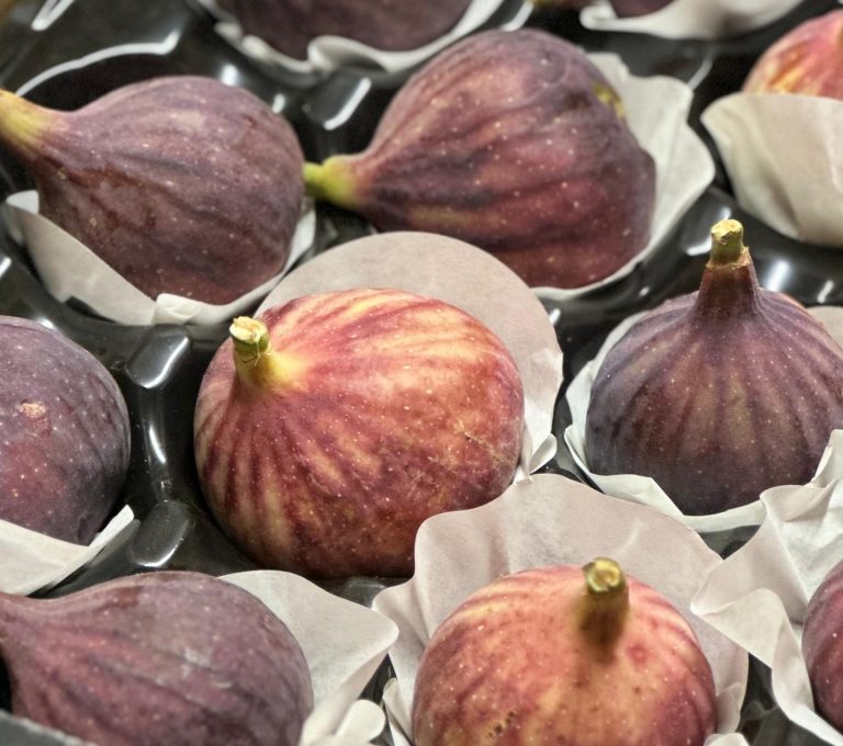 WhatsApp Image 2025-11-19 at 09.08