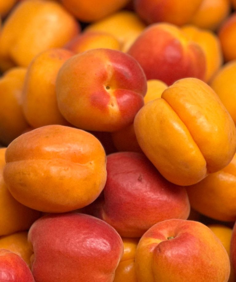 WhatsApp Image 2025-11-19 at 09.08